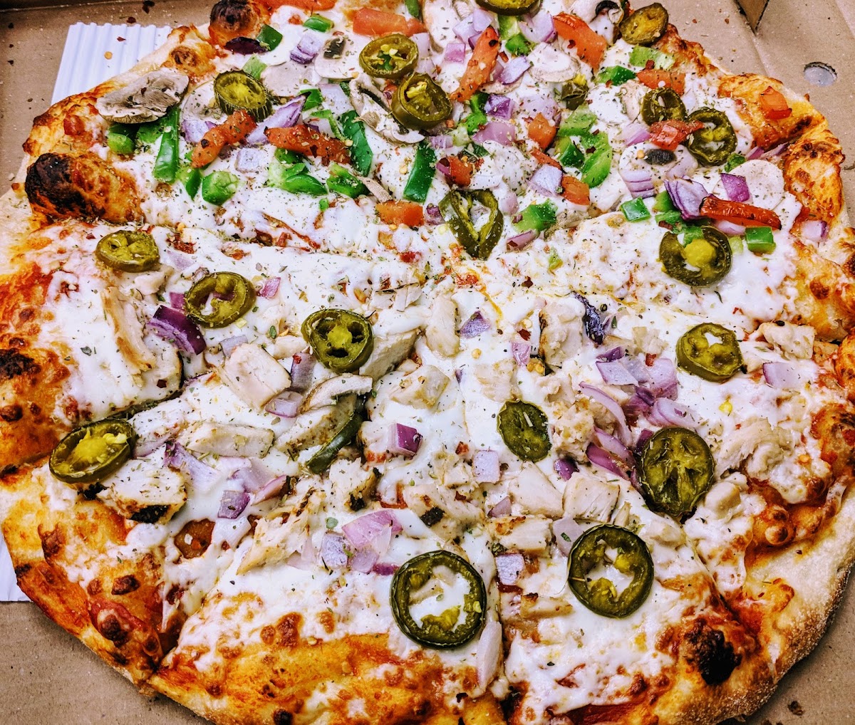 Pizza Pizza Photo 2