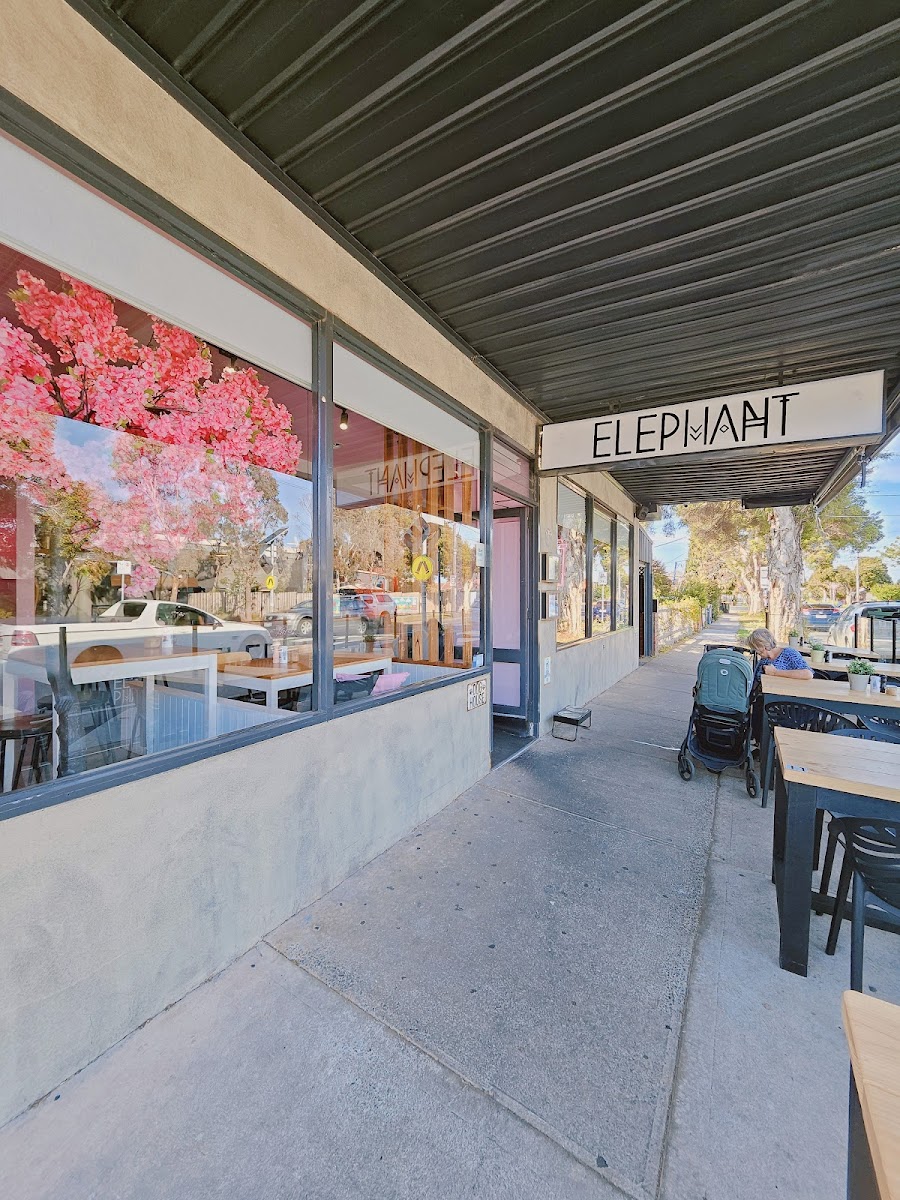 Elephant Cafe Newport