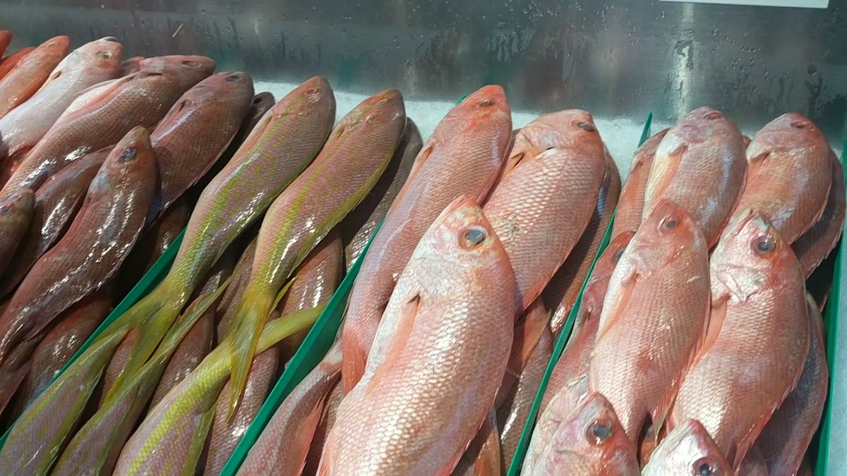 Kings Fish & Seafood Market Photo 2