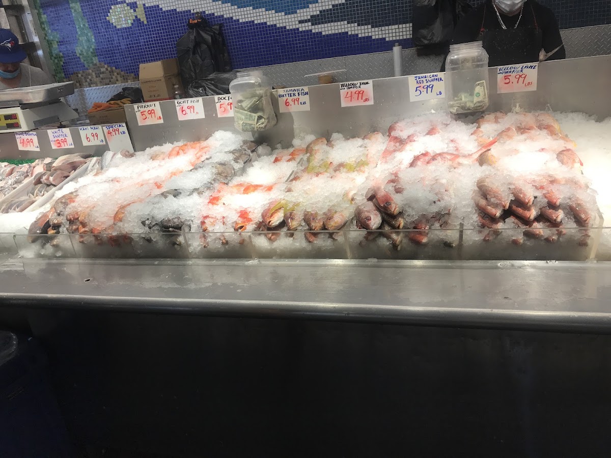 Kings Fish & Seafood Market Photo 3