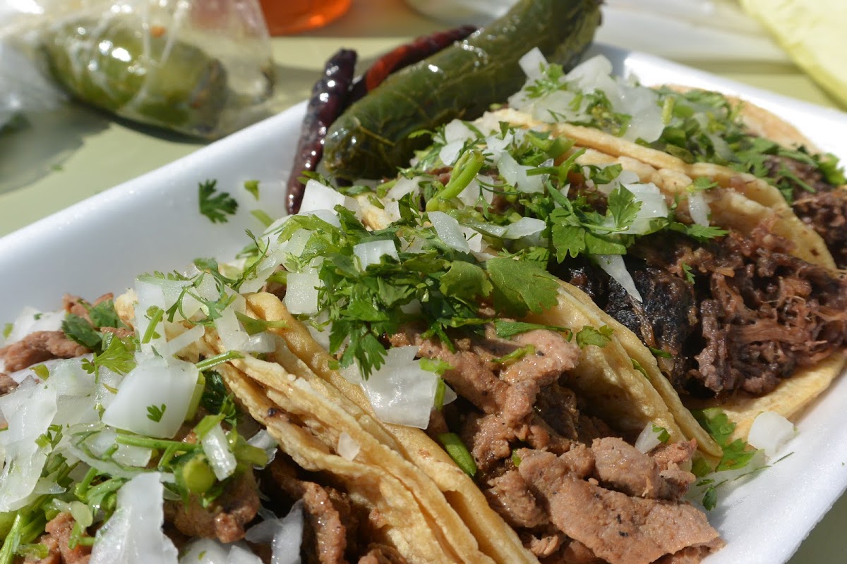 Ortiz's Taco Shop Photo 7