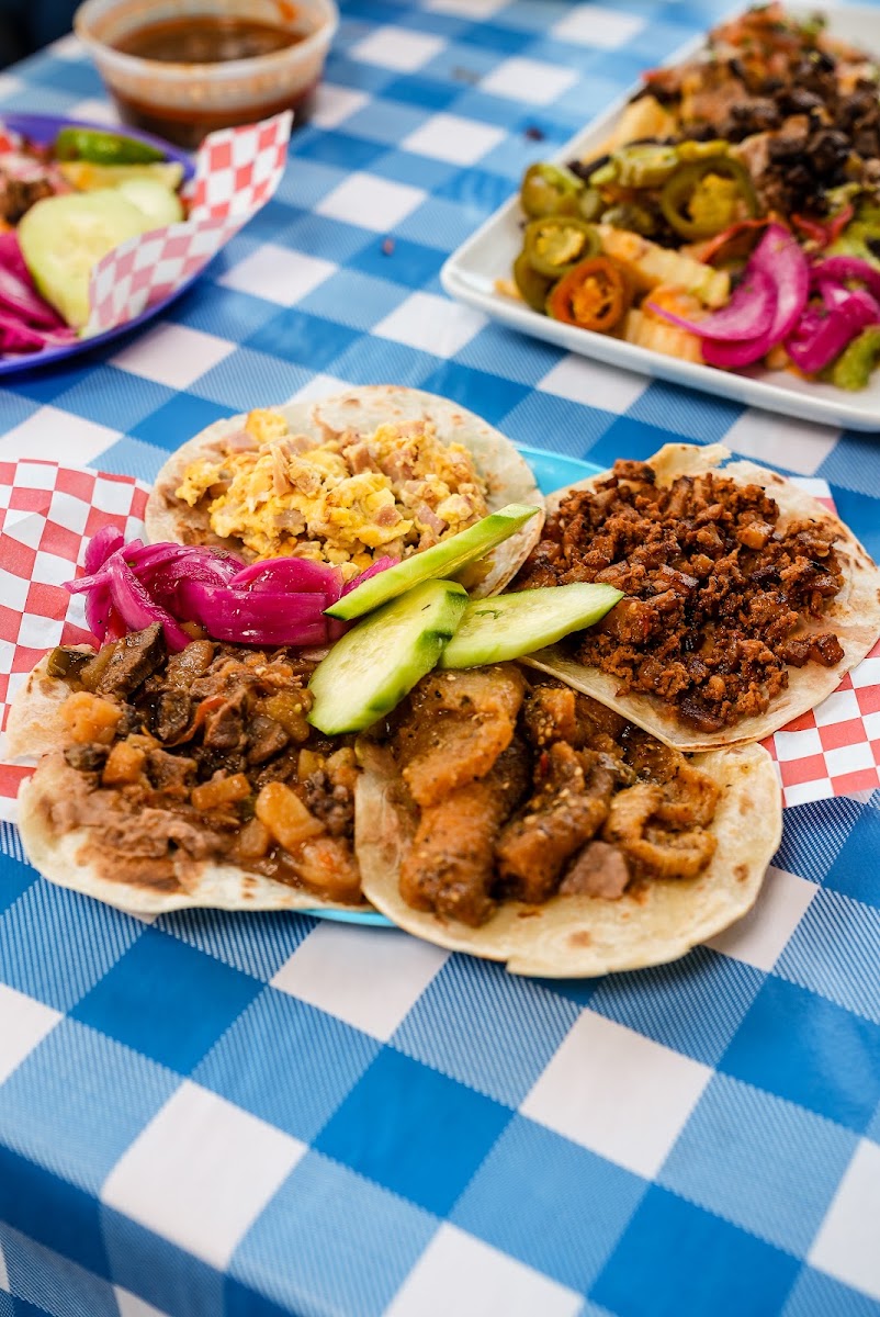 Taco Land Photo 1