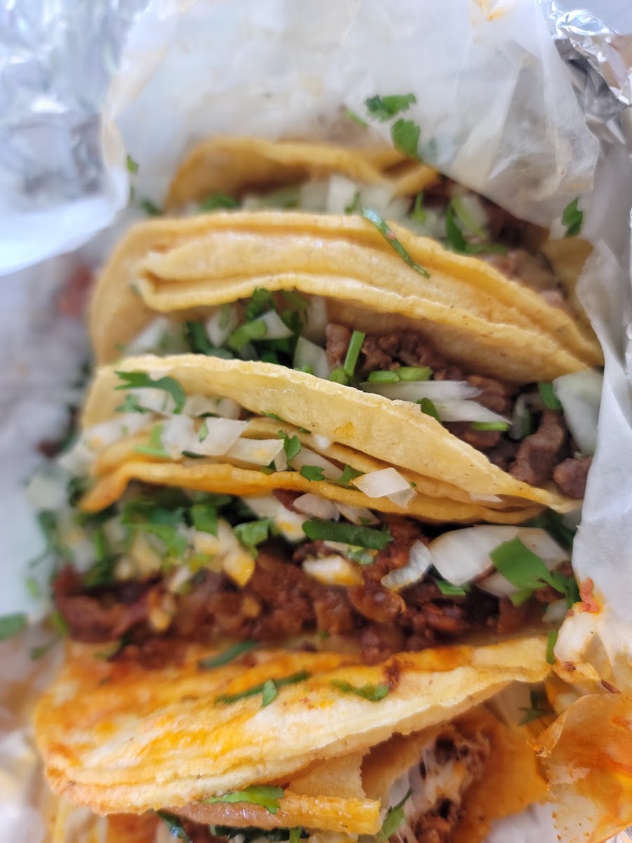 Taco Movil Photo 4