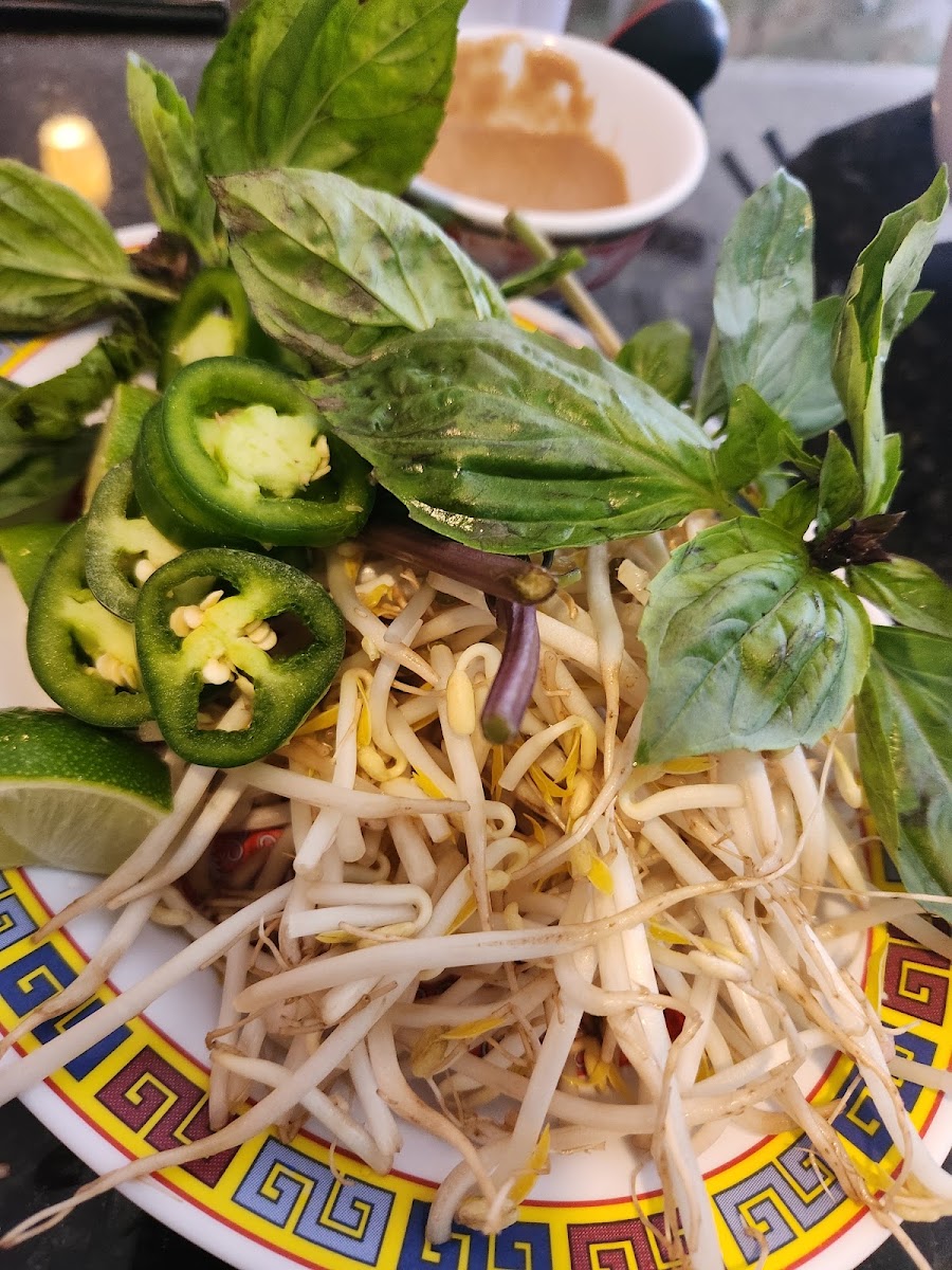 Pho Hoang Photo 1