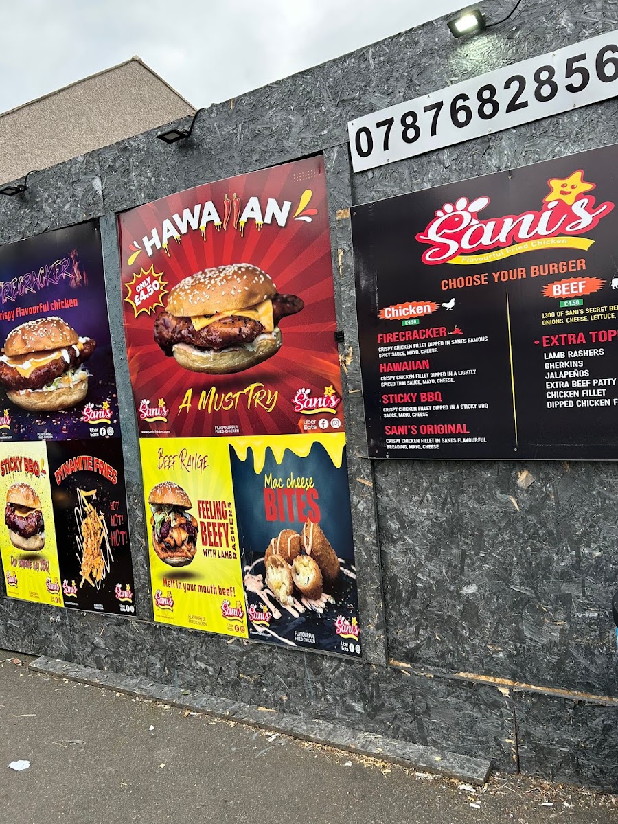 Sani’s chicken Photo 6