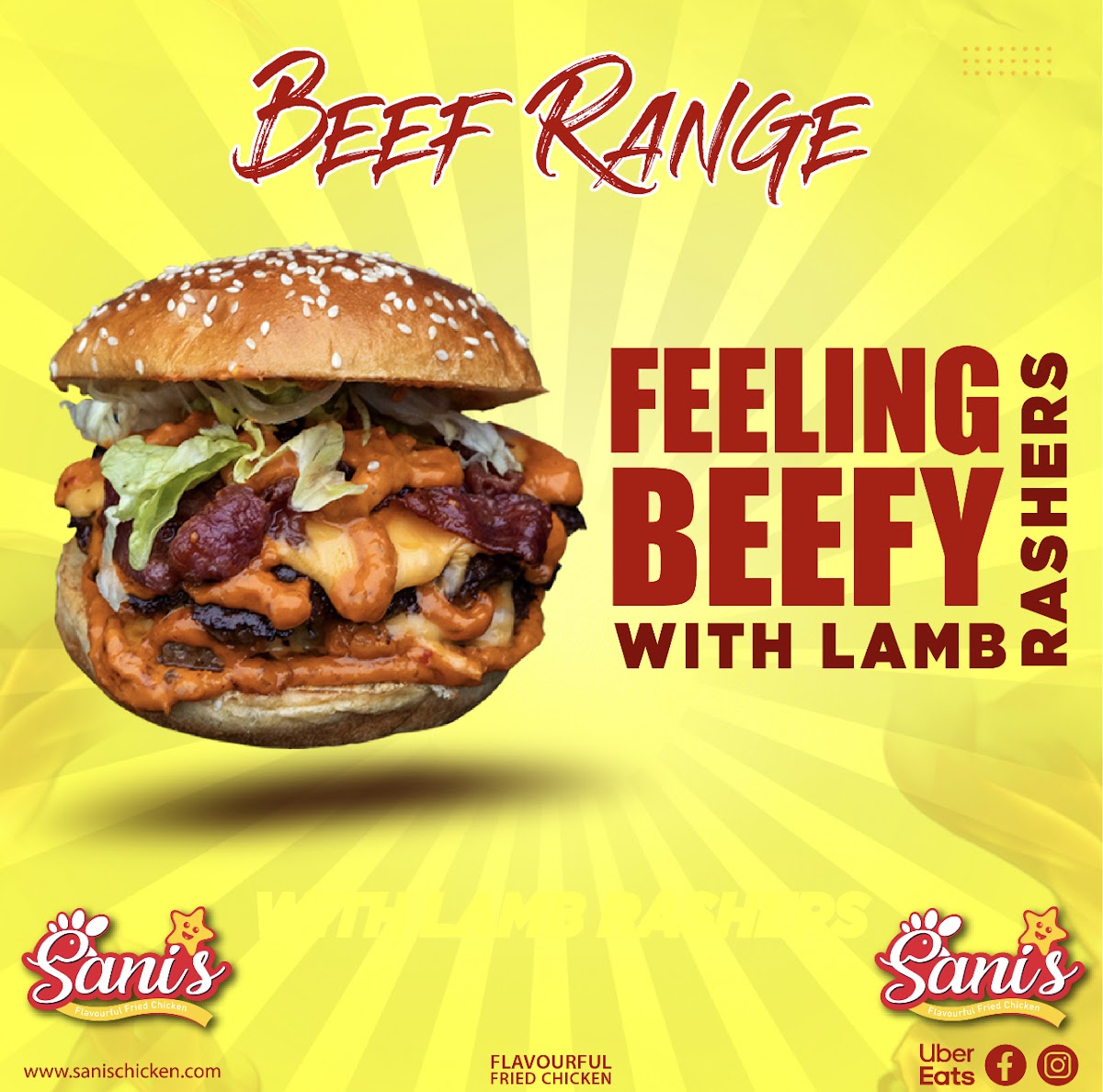 Sani’s chicken Photo 6
