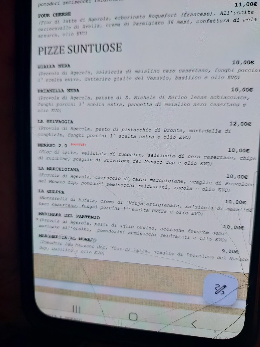 Pizzeria Pulcinella Menu 1