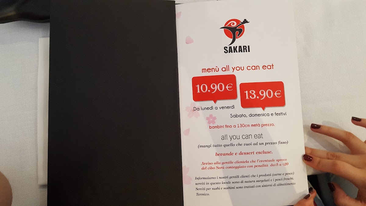 Sakari Photo 7