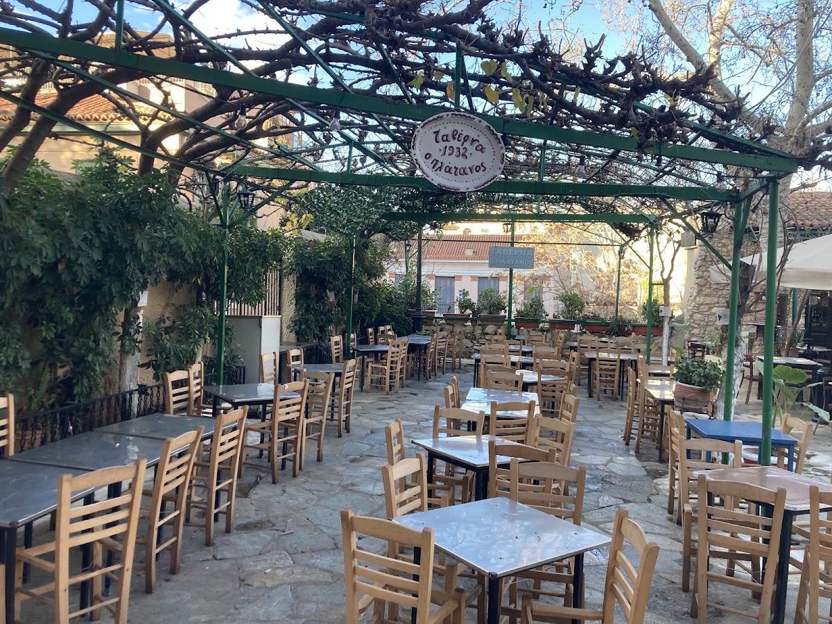 Platanos Taverna Photo 4