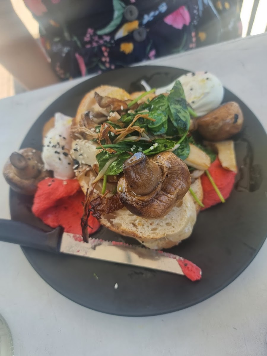 Papa’s Corner Cafe Photo 3