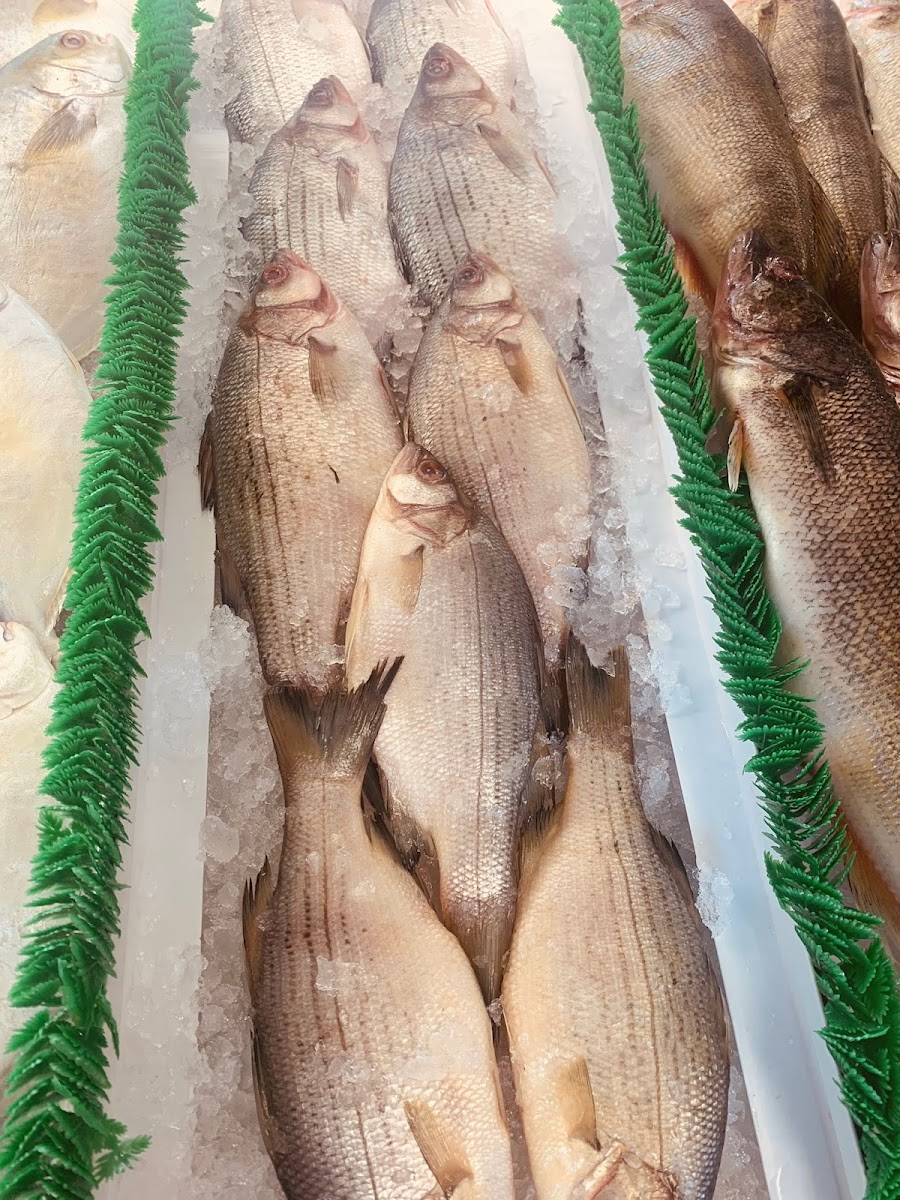 Fresh Fish & Fry - Crack Chicken Photo 5