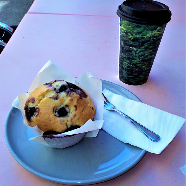 Blueberry Muffin and Cappuccino Coffee