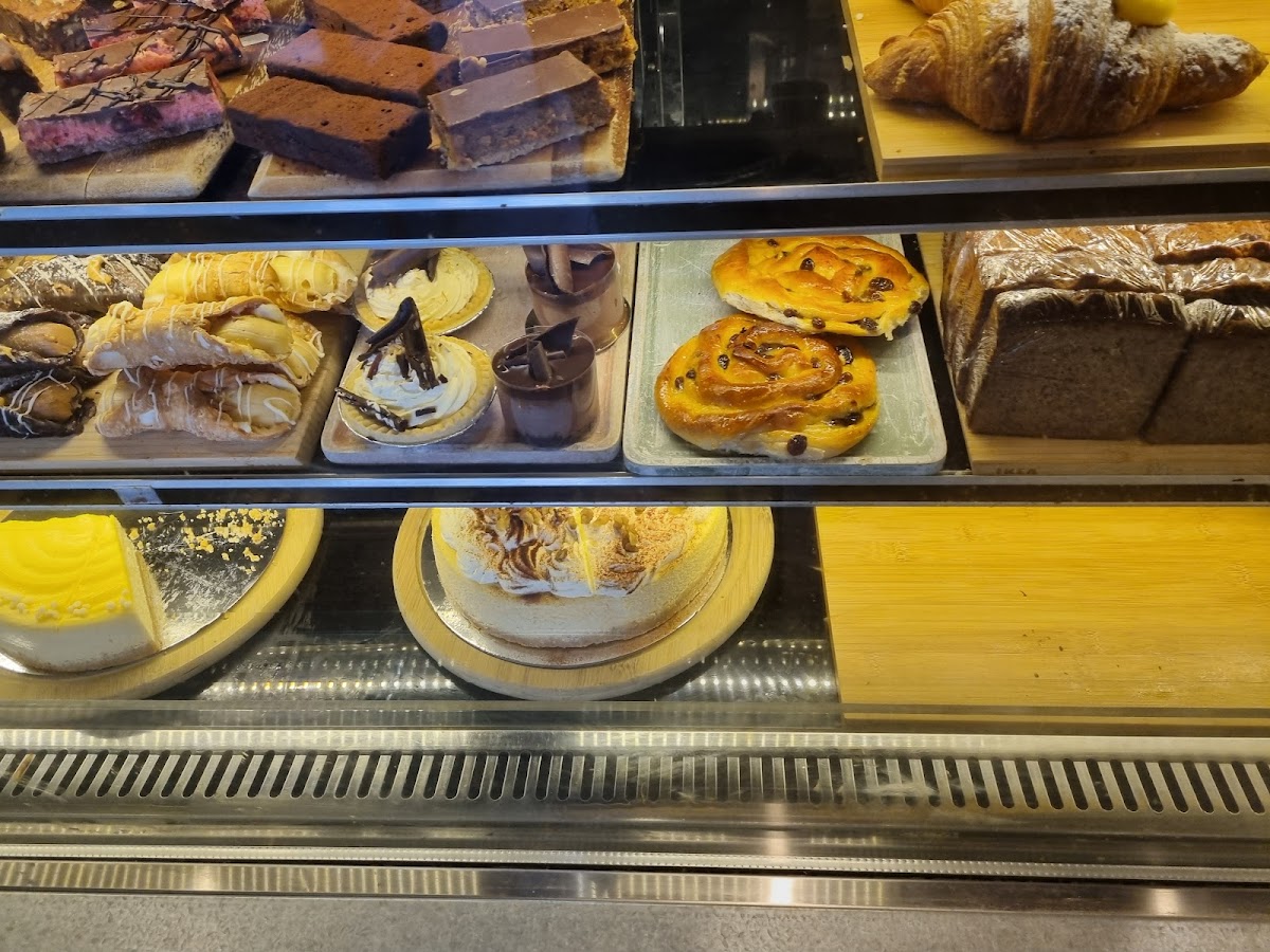 Zitto Photo 2