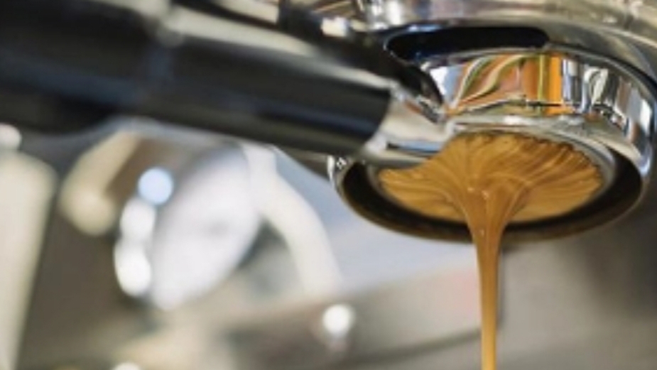 Palate & Ply Espresso Bar, Cafe & Roastery Photo 1