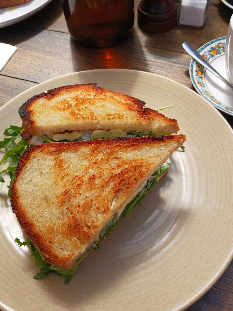 Carolina Photo 4