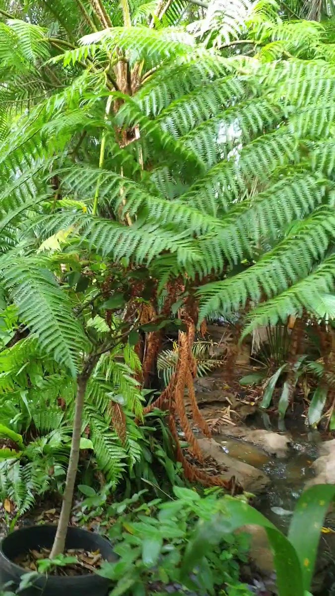 Froggies Rest Photo 2