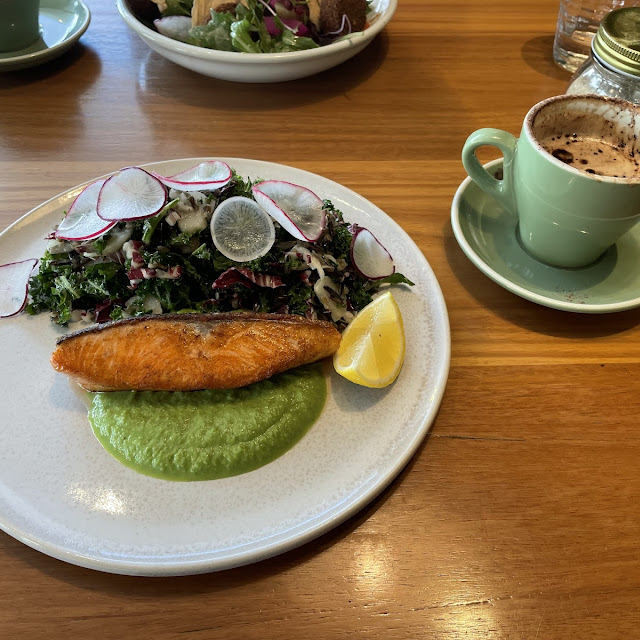Salmon