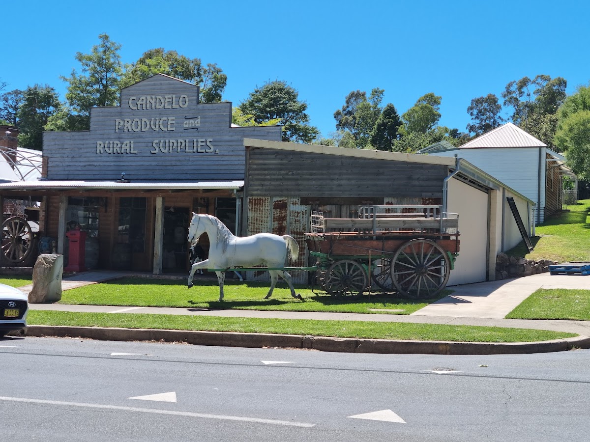 Candelo General Store Cafe Photo 1